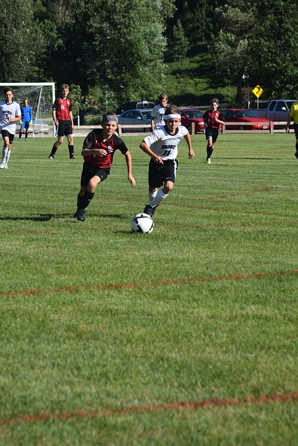 部分战术细 部分战术细