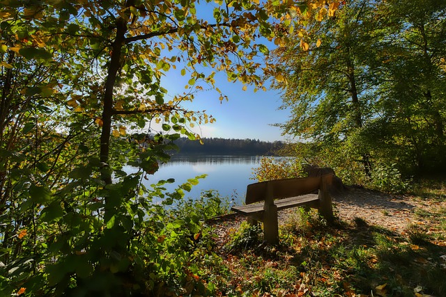 仅靠一位球 仅靠一位球