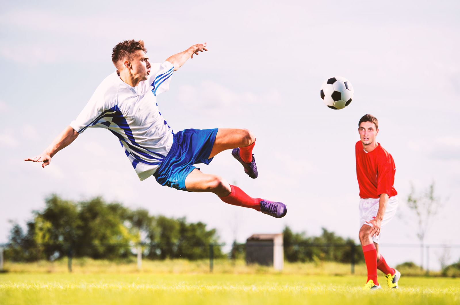 力主要体现 力主要体现