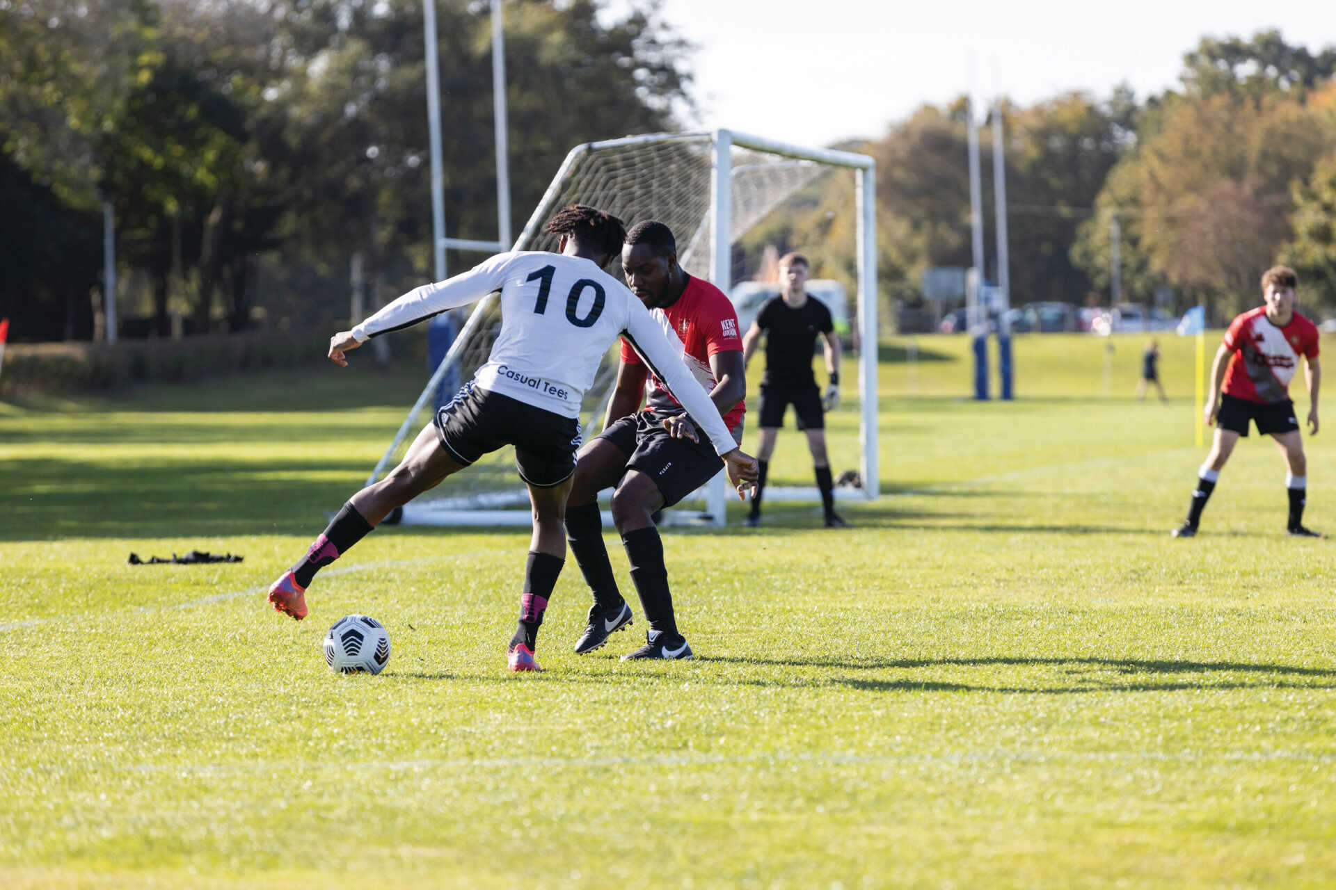 且都展示出 且都展示出